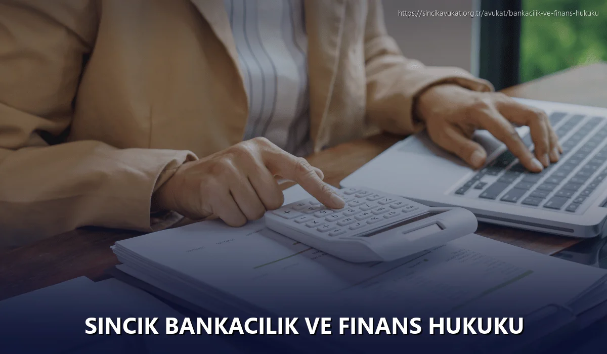 Sincik Bankacılık ve Finans Hukuku